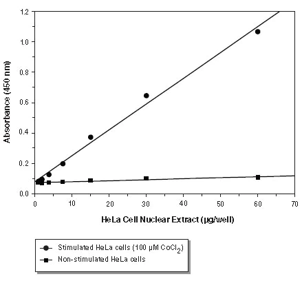 Functional Studies - HIF-1 alpha Transcription Factor Assay Kit (AB133104)
