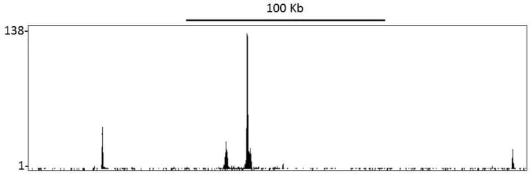 ChIP-sequencing - Anti-HIF-2-alpha antibody [BL-95-1A2] (AB243861)