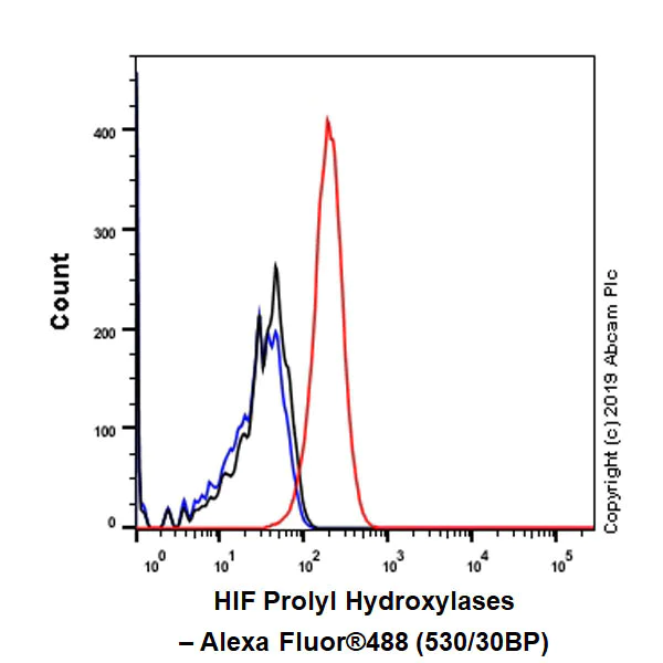 Flow Cytometry (Intracellular) - Anti-HIF Prolyl Hydroxylases antibody [EPR3664(2)-25] - BSA and Azide free (AB256316)