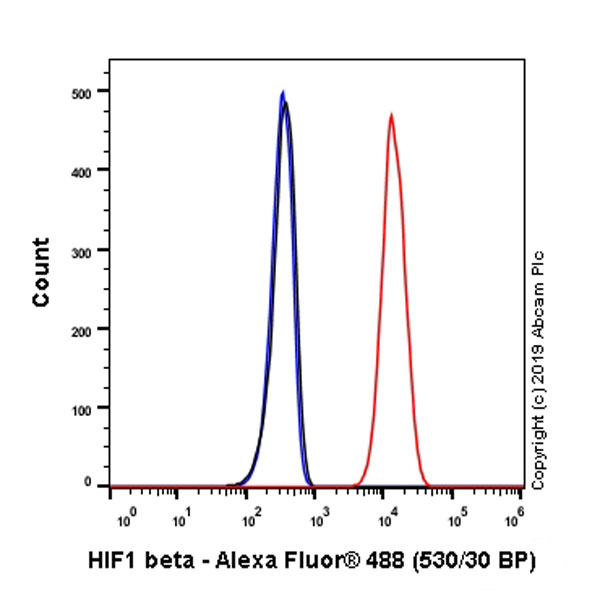 Flow Cytometry (Intracellular) - Anti-HIF1 beta antibody [EPR23106-55] (AB239366), expandable thumbnail