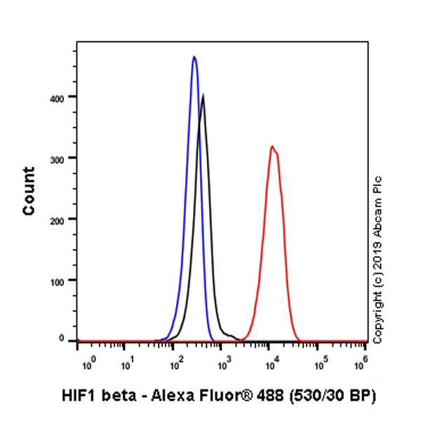Flow Cytometry (Intracellular) - Anti-HIF1 beta antibody [EPR23106-55] (ab239366), expandable thumbnail