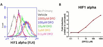 Flow Cytometry - HIF1a + BNIP3 Hypoxia Response Human Flow Cytometry Kit (AB126585), expandable thumbnail