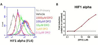 Flow Cytometry - HIF1a + BNIP3 Hypoxia Response Human Flow Cytometry Kit (AB126585)