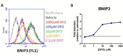 Flow Cytometry - HIF1a + BNIP3 Hypoxia Response Human Flow Cytometry Kit (AB126585)