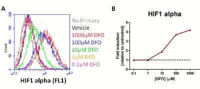 Flow Cytometry - HIF1a + GLUT1 Hypoxia Response Human Flow Cytometry Kit (AB126584)