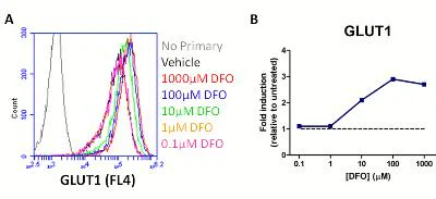 Flow Cytometry - HIF1a + GLUT1 Hypoxia Response Human Flow Cytometry Kit (AB126584)