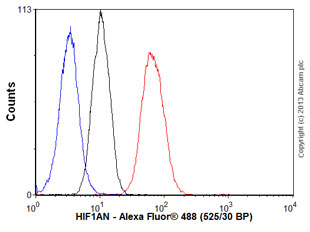 Flow Cytometry (Intracellular) - Anti-HIF1AN/FIH-1 antibody [EPR3659] (AB92304)