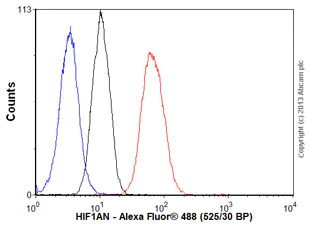 Flow Cytometry (Intracellular) - Anti-HIF1AN/FIH-1 antibody [EPR3659] - BSA and Azide free (AB247533)
