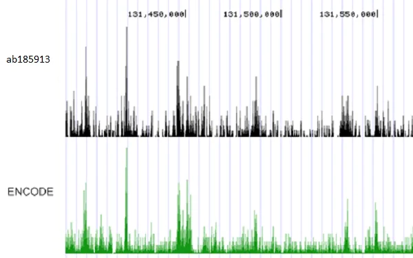 ChIP-sequencing - High-Sensitivity ChIP Kit (AB185913)