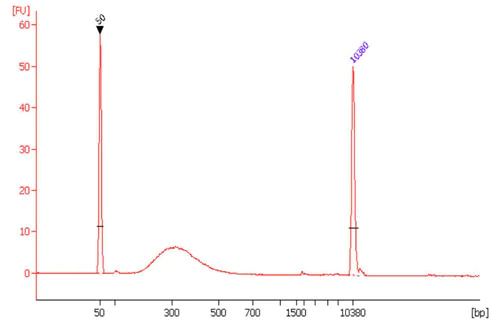 Spectrum - High-Sensitivity DNA Library Preparation Kit (For Illumina®) (AB185905)