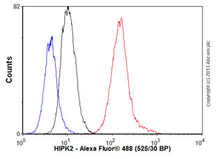 Flow Cytometry (Intracellular) - Anti-HIPK2 antibody [EPR3819] (AB108543), expandable thumbnail