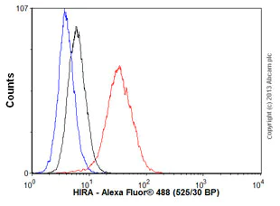 Flow Cytometry (Intracellular) - Anti-HIRA/HIR antibody [EPR7416] - BSA and Azide free (AB232477)