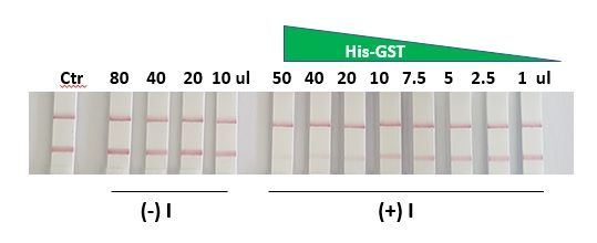 Functional Studies - His-Tag Protein Expression Check Kit (AB270048), expandable thumbnail