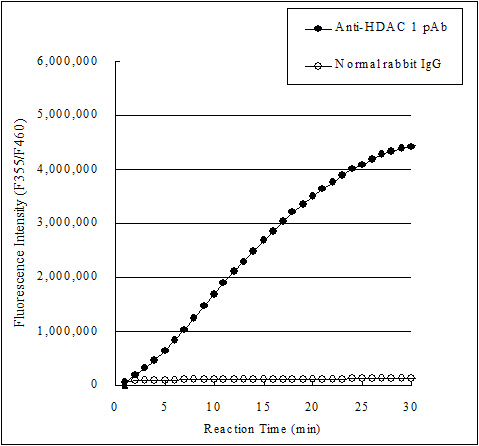 Functional Studies - Histone Deacetylase (HDAC) Activity Assay Kit (Fluorometric) (AB156064), expandable thumbnail