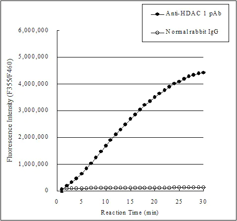 Functional Studies - Histone Deacetylase (HDAC) Activity Assay Kit (Fluorometric) (AB156064)