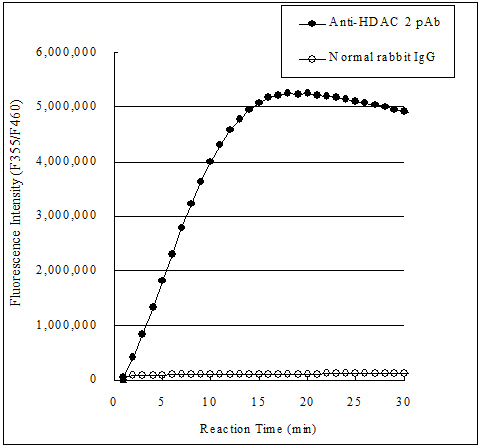 Functional Studies - Histone Deacetylase (HDAC) Activity Assay Kit (Fluorometric) (AB156064), expandable thumbnail
