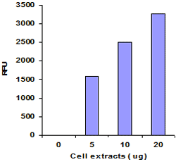 Functional Studies - Histone Demethylase (H3K4) Activity Quantification Assay Kit (AB113455)