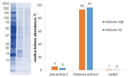 Functional Studies - Histone Extraction Kit - Rapid / Ultra-pure (AB221031), expandable thumbnail