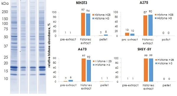Functional Studies - Histone Extraction Kit - Rapid / Ultra-pure (AB221031)