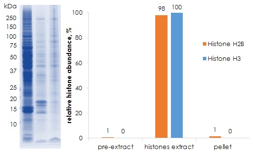 Functional Studies - Histone Extraction Kit - Rapid / Ultra-pure (AB221031), expandable thumbnail