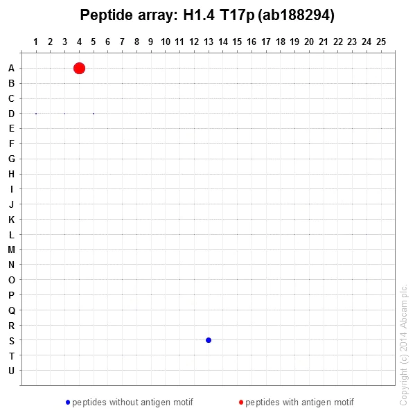 Peptide Array - Anti-Histone H1.3 (phospho T17) + Histone H1.4 (phospho T17) antibody [EPR18087] - BSA & Azide free (AB250946)