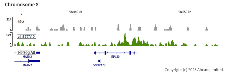 ChIC/CUT&RUN sequencing - Anti-Histone H2A (acetyl K9) antibody [EPR17471] - ChIP Grade - BSA and Azide free (AB203949)