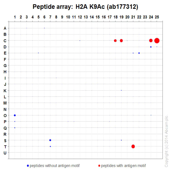 Peptide Array - Anti-Histone H2A (acetyl K9) antibody [EPR17471] - ChIP Grade - BSA and Azide free (AB203949)