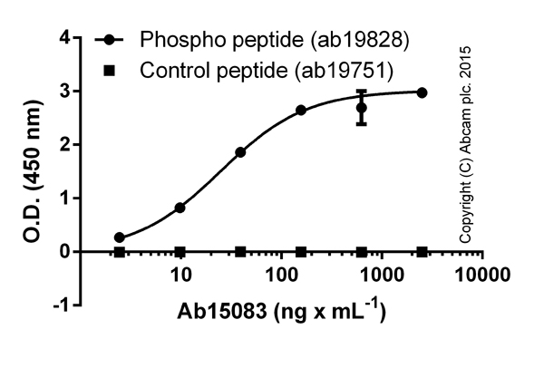 ELISA - Anti-Histone H2A (phospho S129) antibody (AB15083)