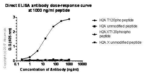 ELISA - Anti-Histone H2A (phospho T120) antibody [EPR17492] - BSA and Azide free (AB249963)