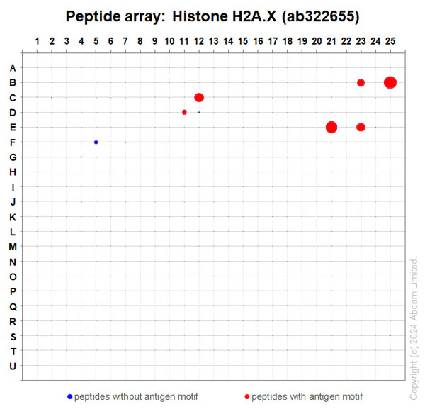 Peptide Array - Anti-Histone H2A.X antibody [RM1271] (AB322655)