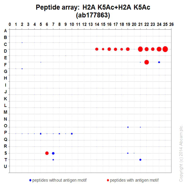 Peptide Array - Anti-Histone H2A.X+Histone H2A (acetyl K5) antibody [EPR17589] - BSA and Azide free (AB250006)