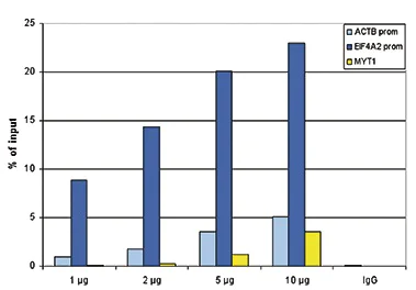 ChIP - Anti-Histone H2A.Z (acetyl K4 + K7 + K11) antibody (AB232908)