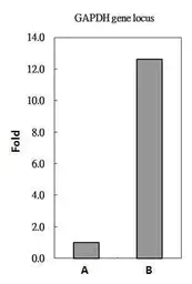 ChIP - Anti-Histone H2A.Z antibody - ChIP Grade (AB97966)