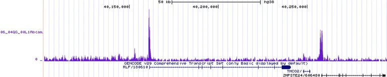 ChIP-sequencing - Anti-Histone H2A.Z antibody [EPR18090] - BSA and Azide free (AB223152)