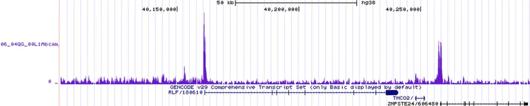 ChIP-sequencing - Anti-Histone H2A.Z antibody [EPR18090] - ChIP Grade (AB188314)