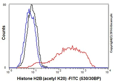 Flow Cytometry (Intracellular) - Anti-Histone H2B (acetyl K20) antibody [EPR859] - BSA and Azide free (AB240198)