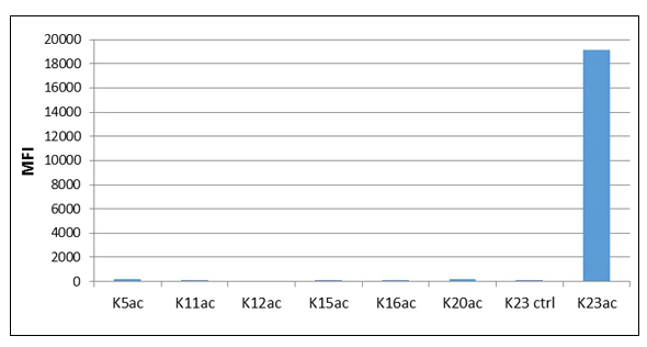 ELISA - Anti-Histone H2B (acetyl K23) antibody [RM260] (AB222770)