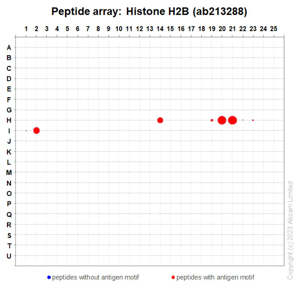 Peptide Array - Anti-Histone H2B antibody [IGX4228H] (AB213288)