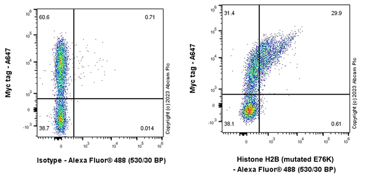 Flow Cytometry (Intracellular) - Anti-Histone H2B (mutated E76K) antibody [EPR27298-41] - BSA and Azide free (AB313790)