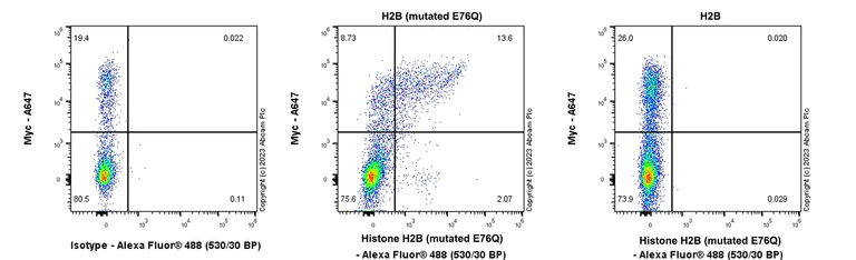 Flow Cytometry (Intracellular) - Anti-Histone H2B (mutated E76Q) antibody [EPR27299-85] - BSA and Azide free (AB309101)