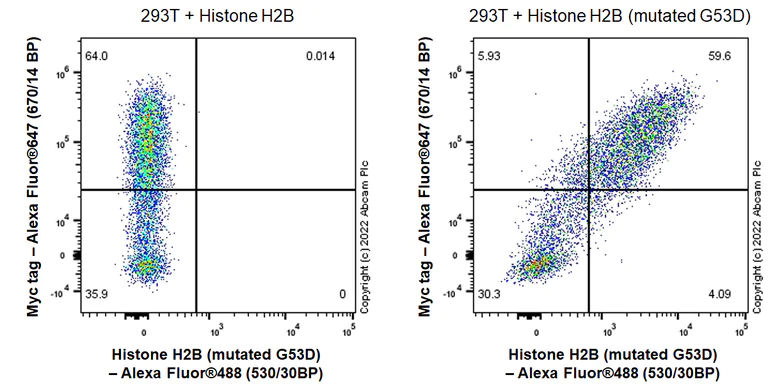 Flow Cytometry (Intracellular) - Anti-Histone H2B (mutated G53D) antibody [EPR26428-35] (AB305052)