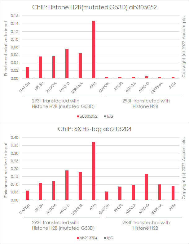 ChIP - Anti-Histone H2B (mutated G53D) antibody [EPR26428-35] - BSA and Azide free (AB305053), expandable thumbnail