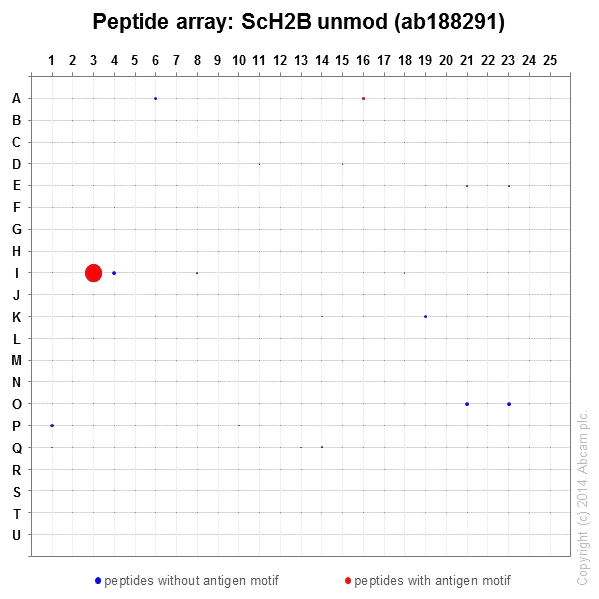Peptide Array - Anti-Histone H2B (yeast) antibody [EPR18094] - ChIP Grade (AB188291)