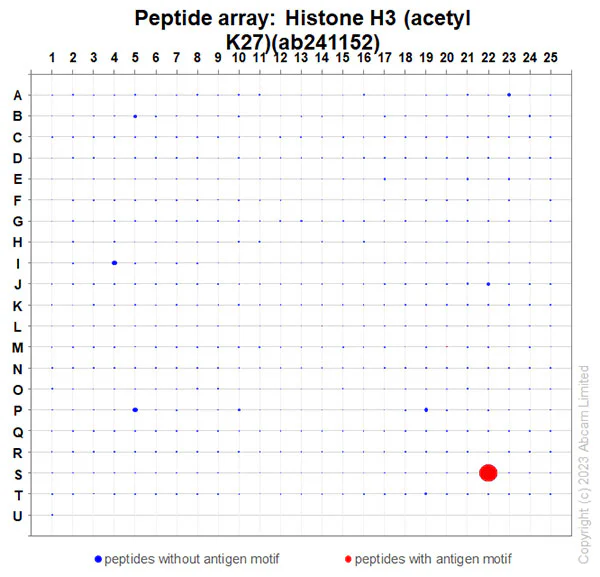 Peptide Array - Anti-Histone H3 (acetyl K27) antibody [EPR21237] (AB241152)