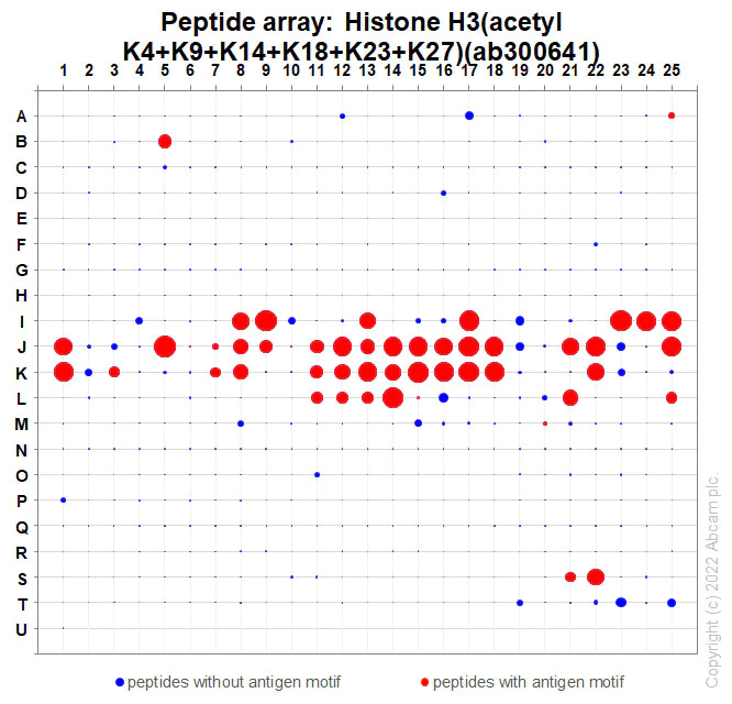 Peptide Array - Anti-Histone H3 (acetyl K4+K9+K14+K18+K23+K27) antibody [RM1045] (AB300641)
