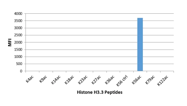 ELISA - Anti-Histone H3 (acetyl K56) antibody [RM179] (AB238307)