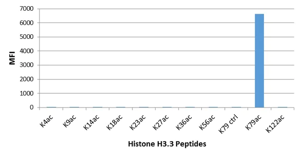 ELISA - Anti-Histone H3 (acetyl K79) antibody [RM156] (AB214731)