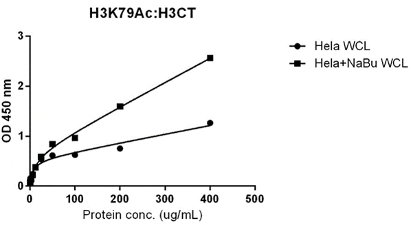 ELISA - Anti-Histone H3 (acetyl K79) antibody [RM156] (AB214731)
