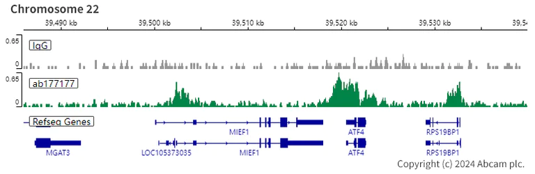 ChIC/CUT&RUN sequencing - Anti-Histone H3 (acetyl K9) antibody [EPR16988] - ChIP Grade (AB177177)