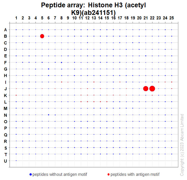Peptide Array - Anti-Histone H3 (acetyl K9) antibody [EPR21239] (AB241151)